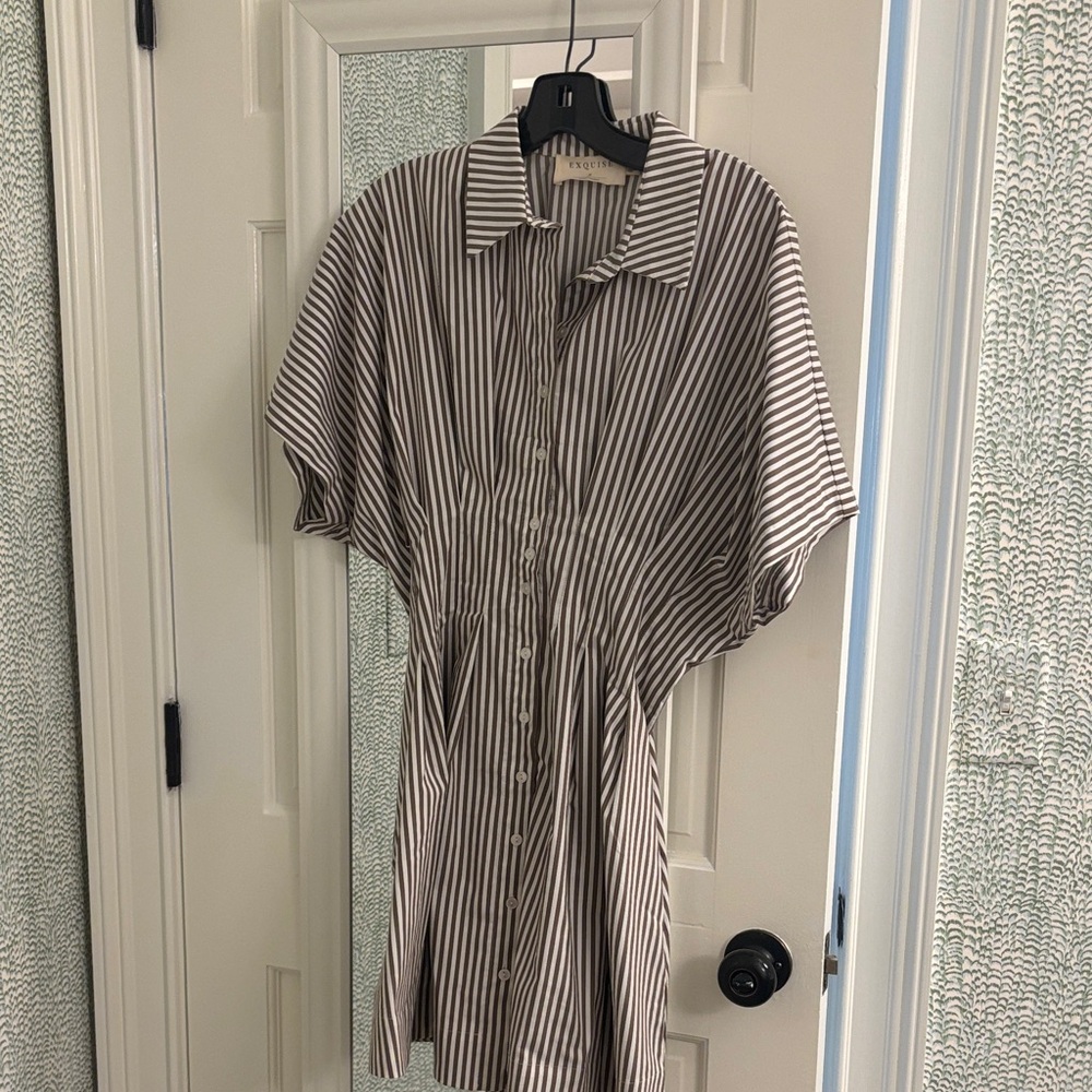 Anthropologie Striped Mini Dress - Brown & White